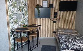 Rajca Room - Mieszkanie przy Jasnej Górze